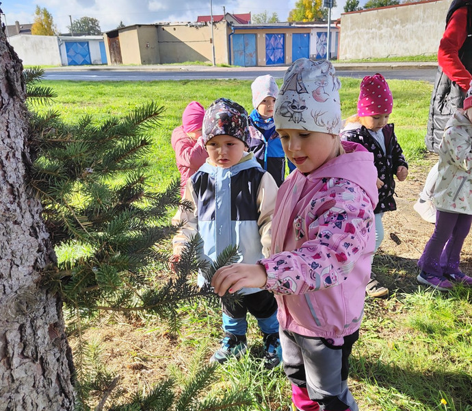 Obrázek galerie  34203