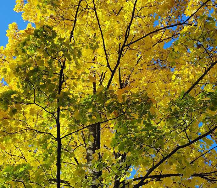 Obrázek galerie  34204