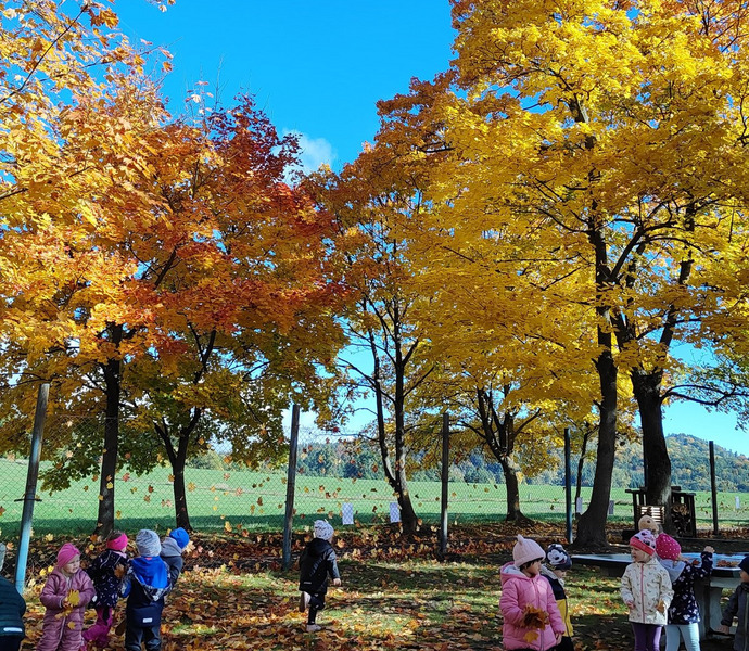 Obrázek galerie  34209