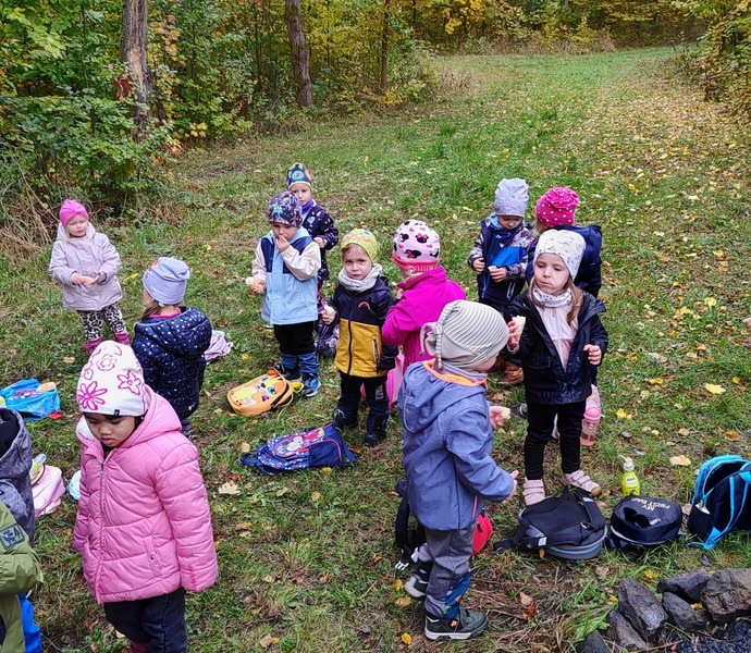 Obrázek galerie  34246