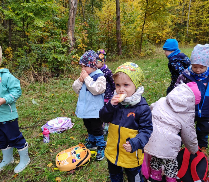 Obrázek galerie  34247