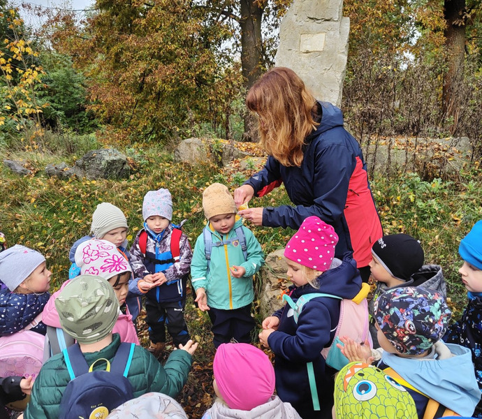 Obrázek galerie  34250