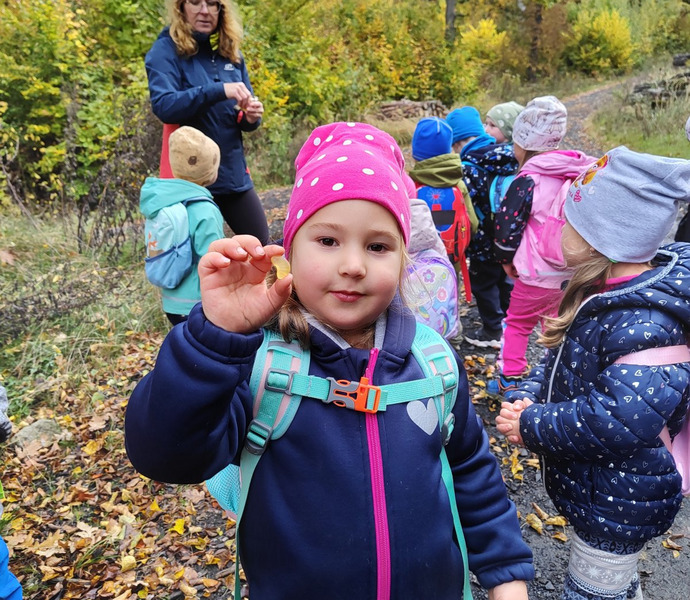 Obrázek galerie  34253