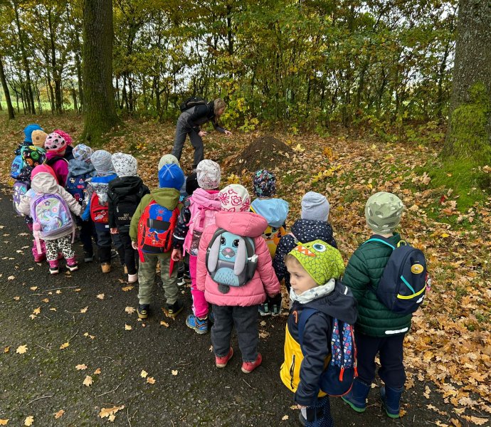 Obrázek galerie  34256