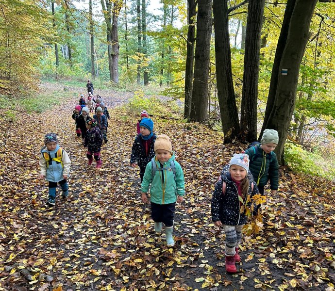 Obrázek galerie  34260