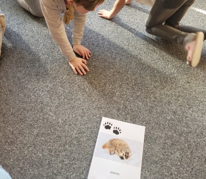 Obrázek galerie  34381