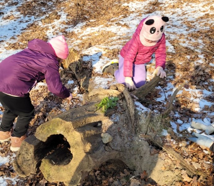 Obrázek galerie  34387