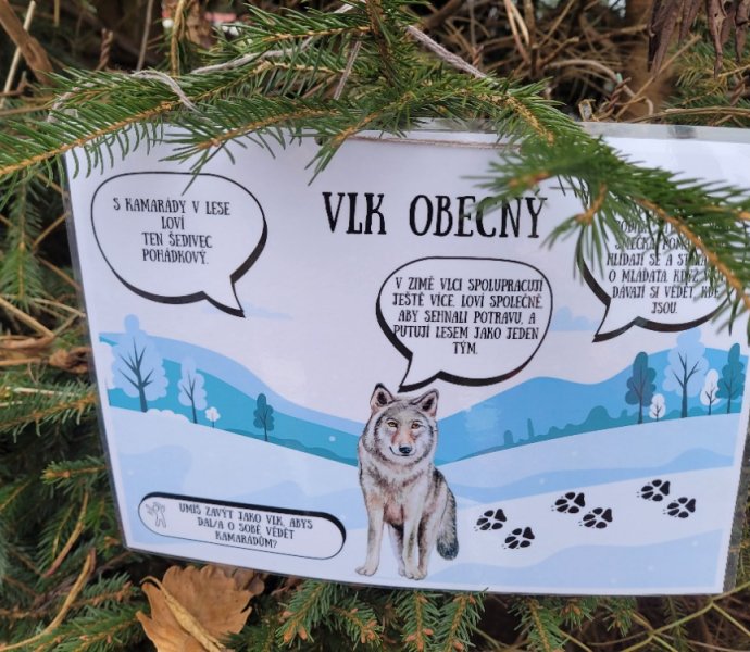 Obrázek galerie  34406