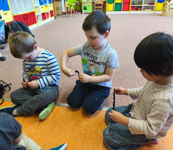 Obrázek galerie  34431