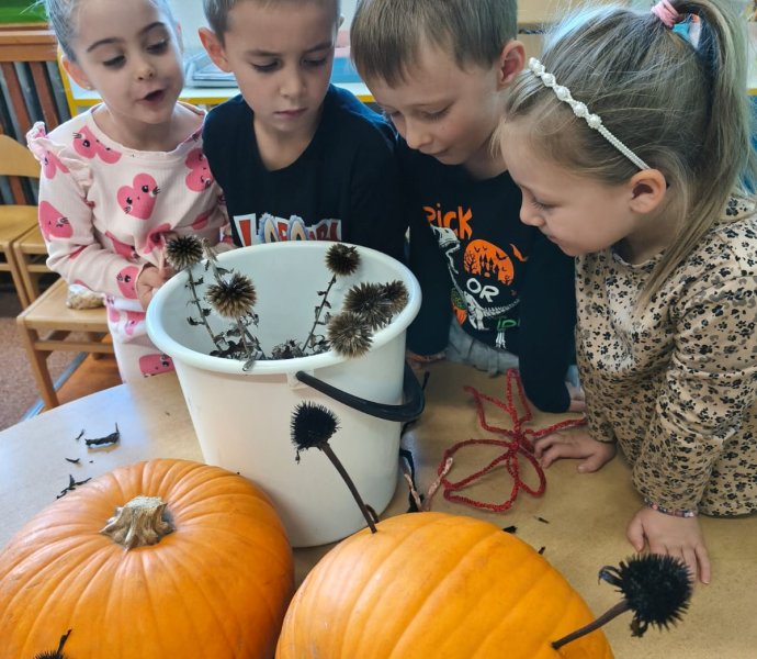 Obrázek galerie  34433