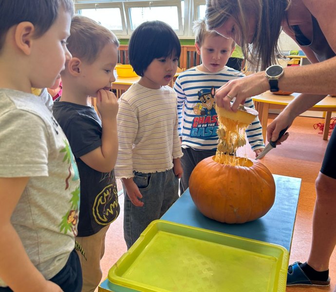 Obrázek galerie  34436