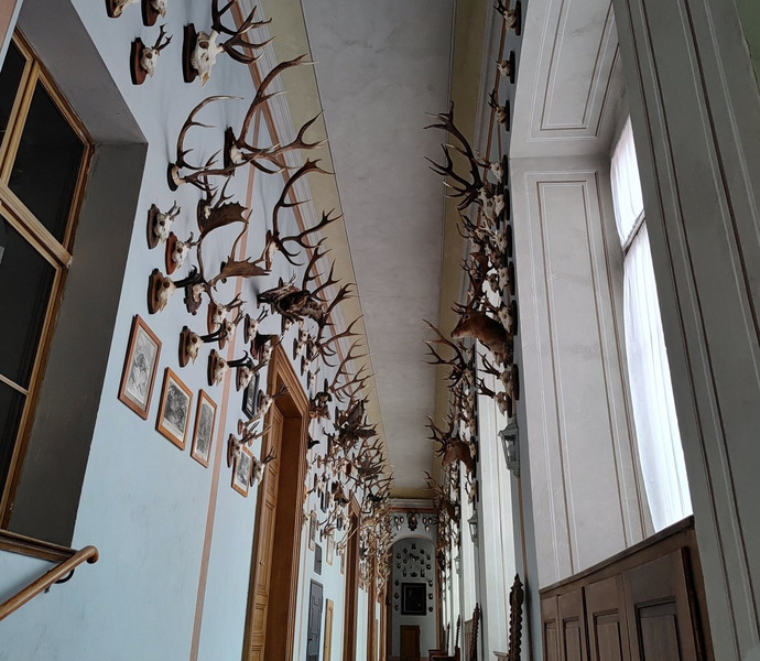 Obrázek galerie  34443