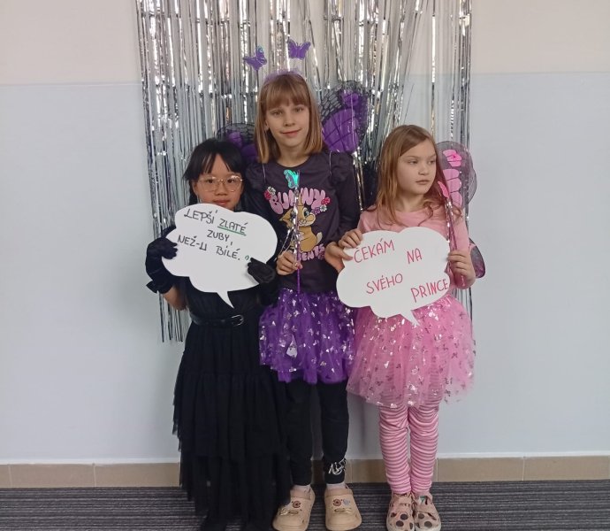 Obrázek galerie  34498