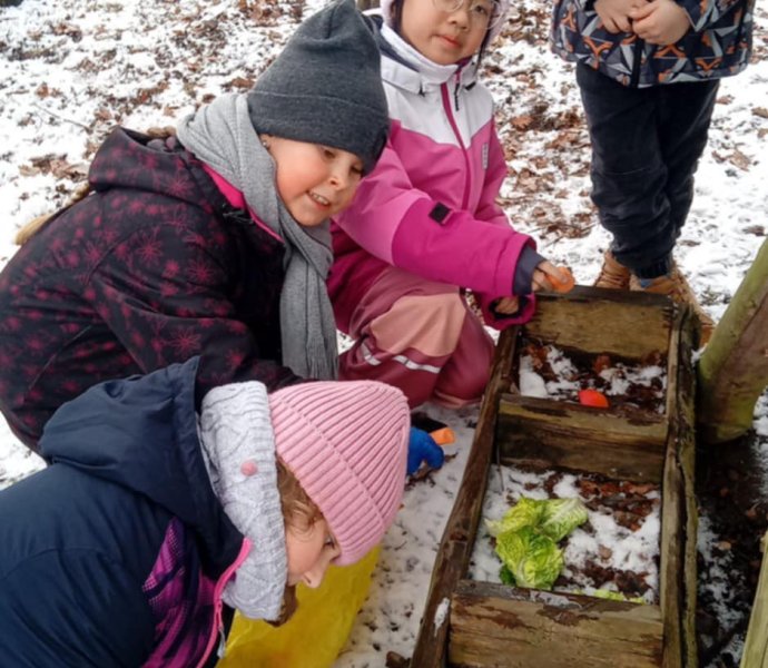 Obrázek galerie  34598