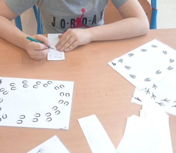 Obrázek galerie  34607