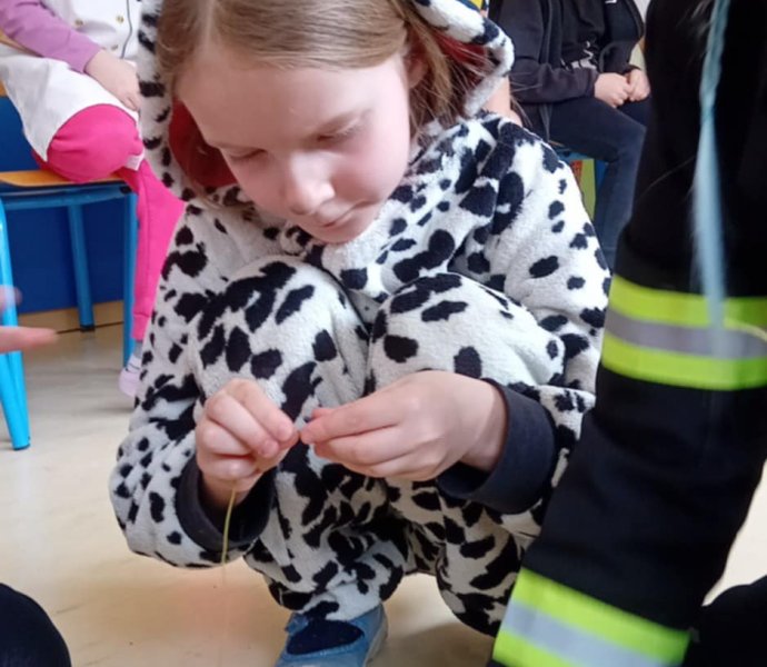 Obrázek galerie  34699