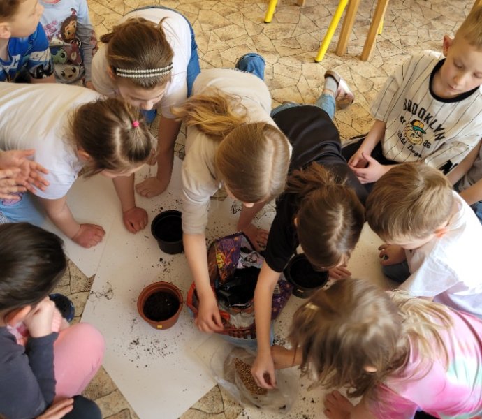 Obrázek galerie  34879