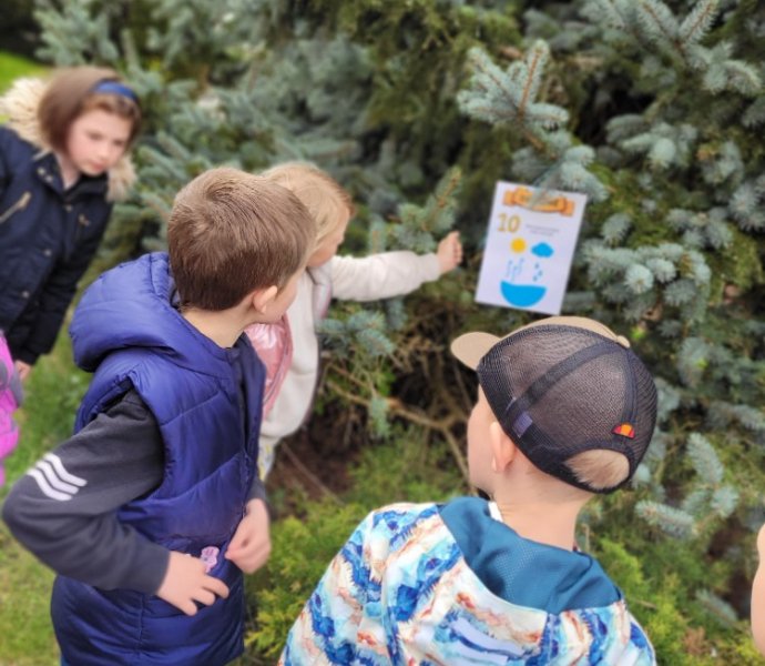 Obrázek galerie  35285