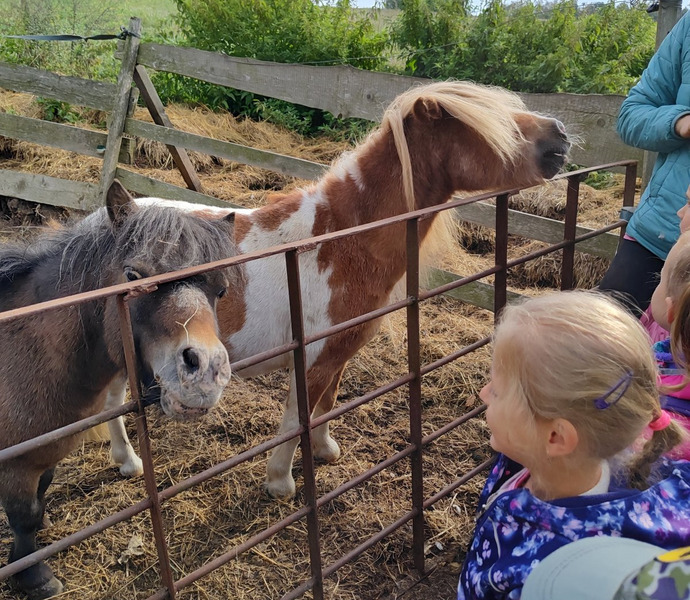 Obrázek galerie  37109