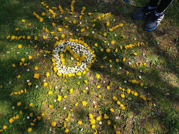 Land Art 3. A ,3.B