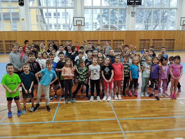 ZSH - Míčový trojboj