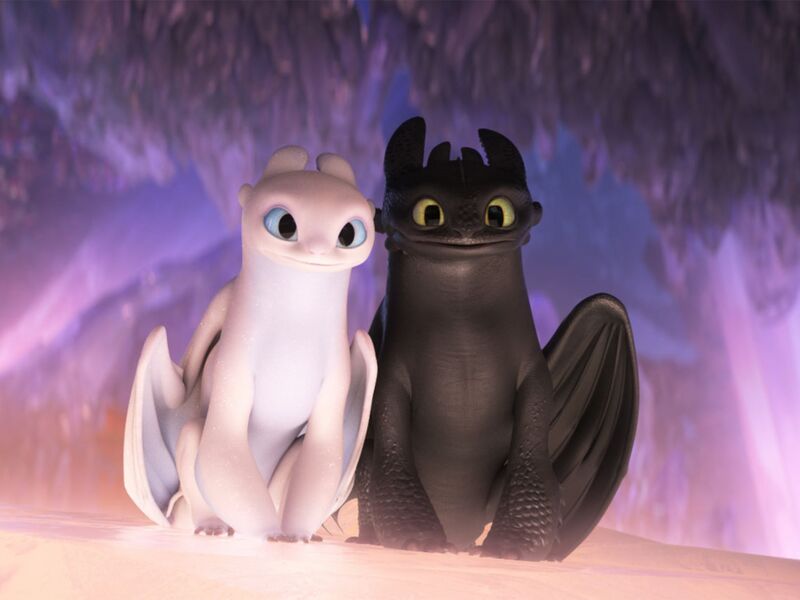 Naše dračí třída