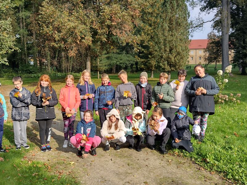 Sbírání kaštanů