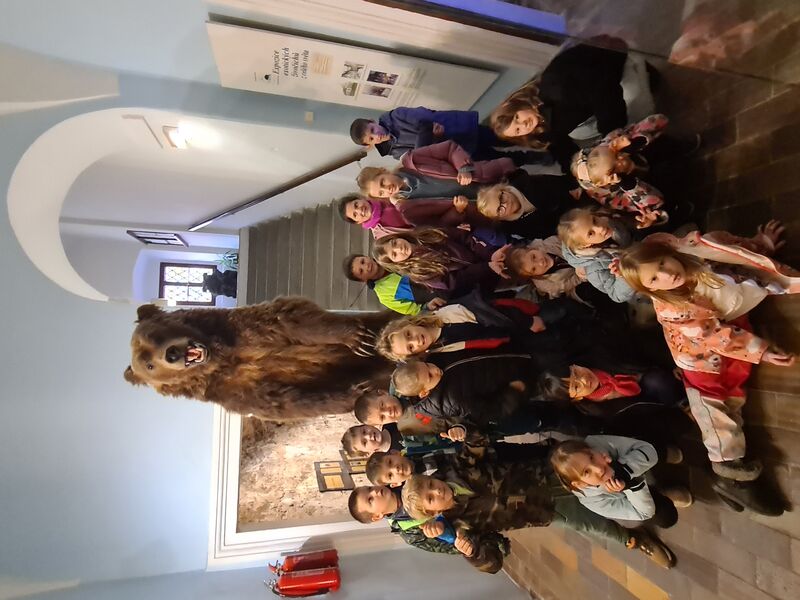 Muzeum v České Lipě a Jak bylinky léčí